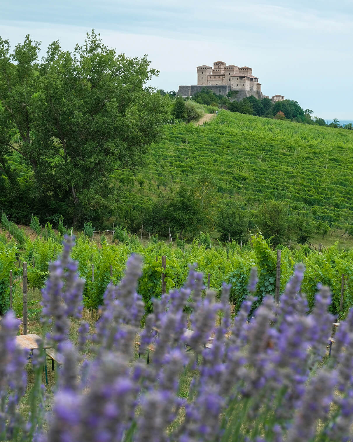 THE PARMA HILLS: A NATURALLY PERFECT CLIMATE.