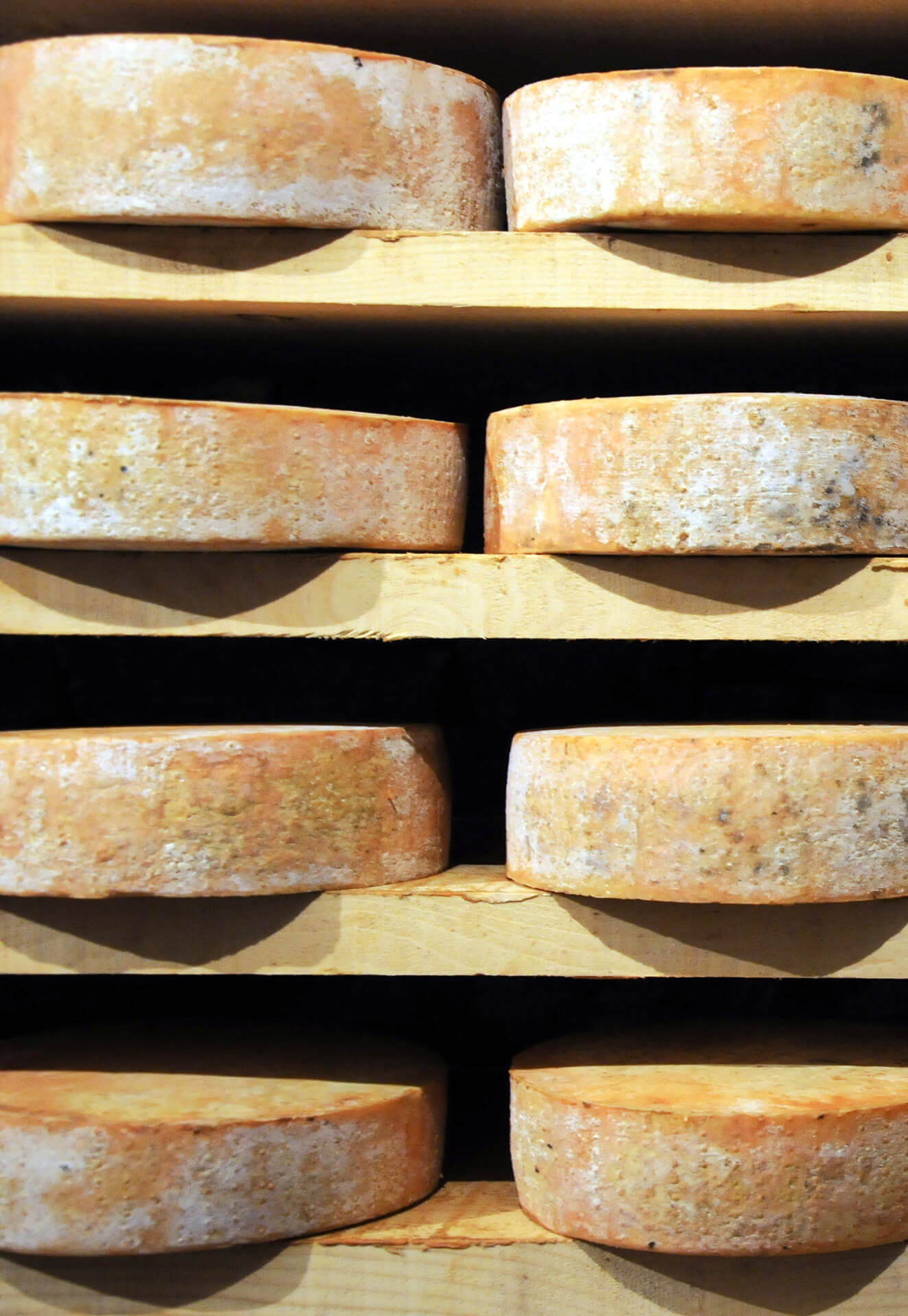 Melted Fontina PDO