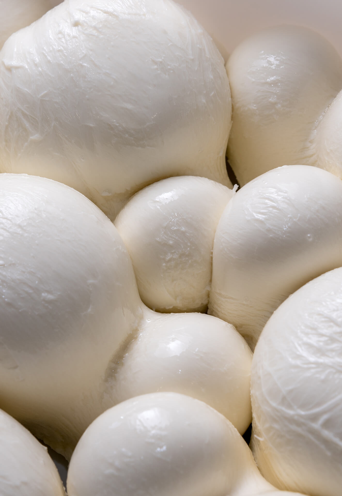 Fior di latte mozzarella
