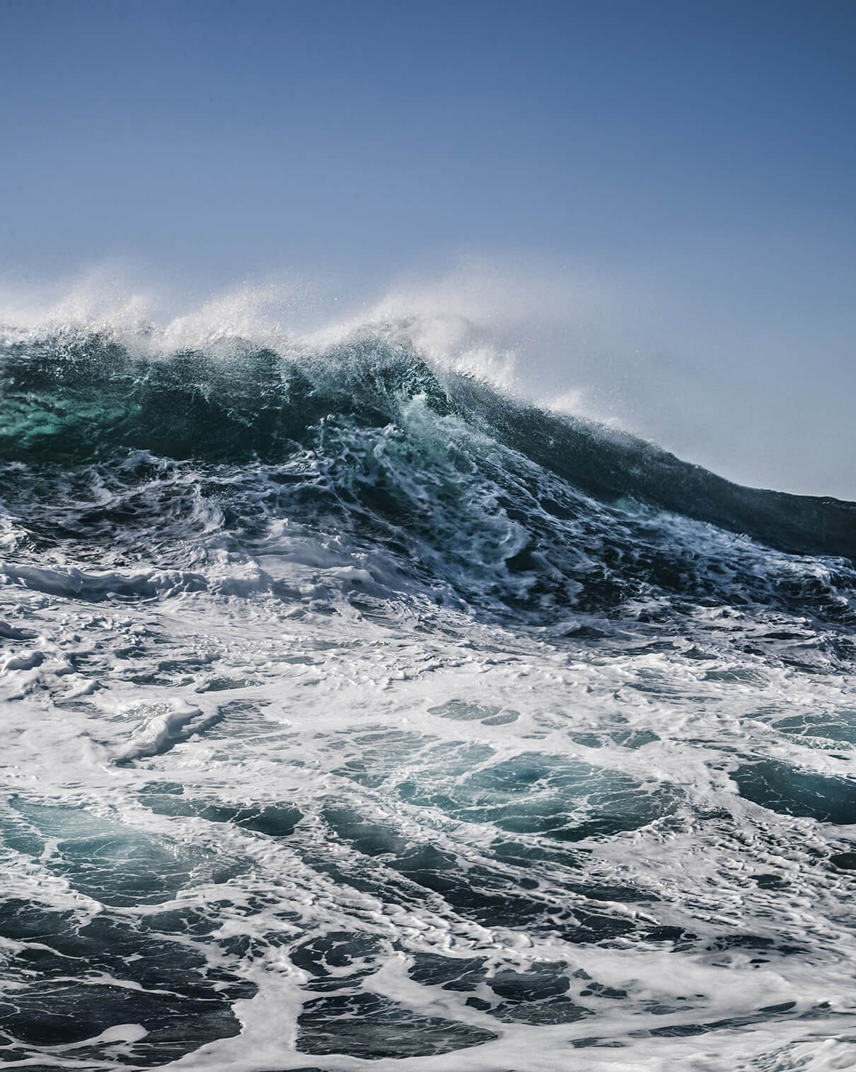MARE ATLANTICO, NASSE E FILIERA TRACCIATA.
