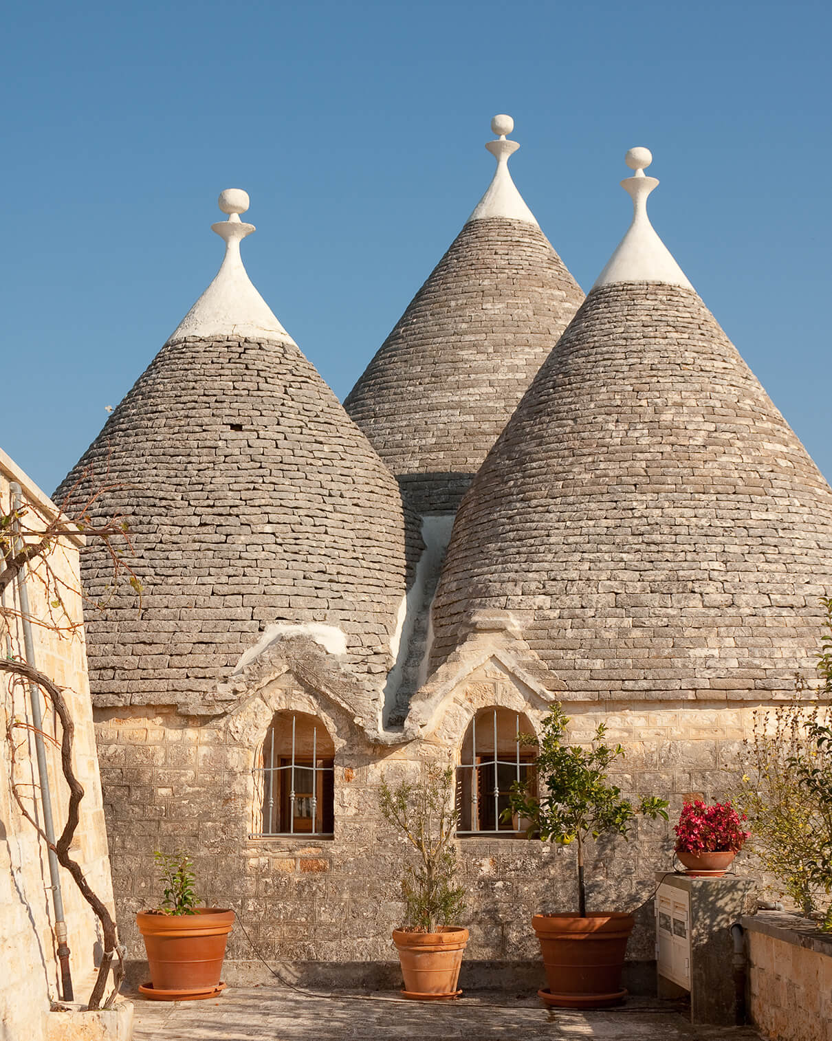 A CREATIVE CHEESEMAKING TRADITION.