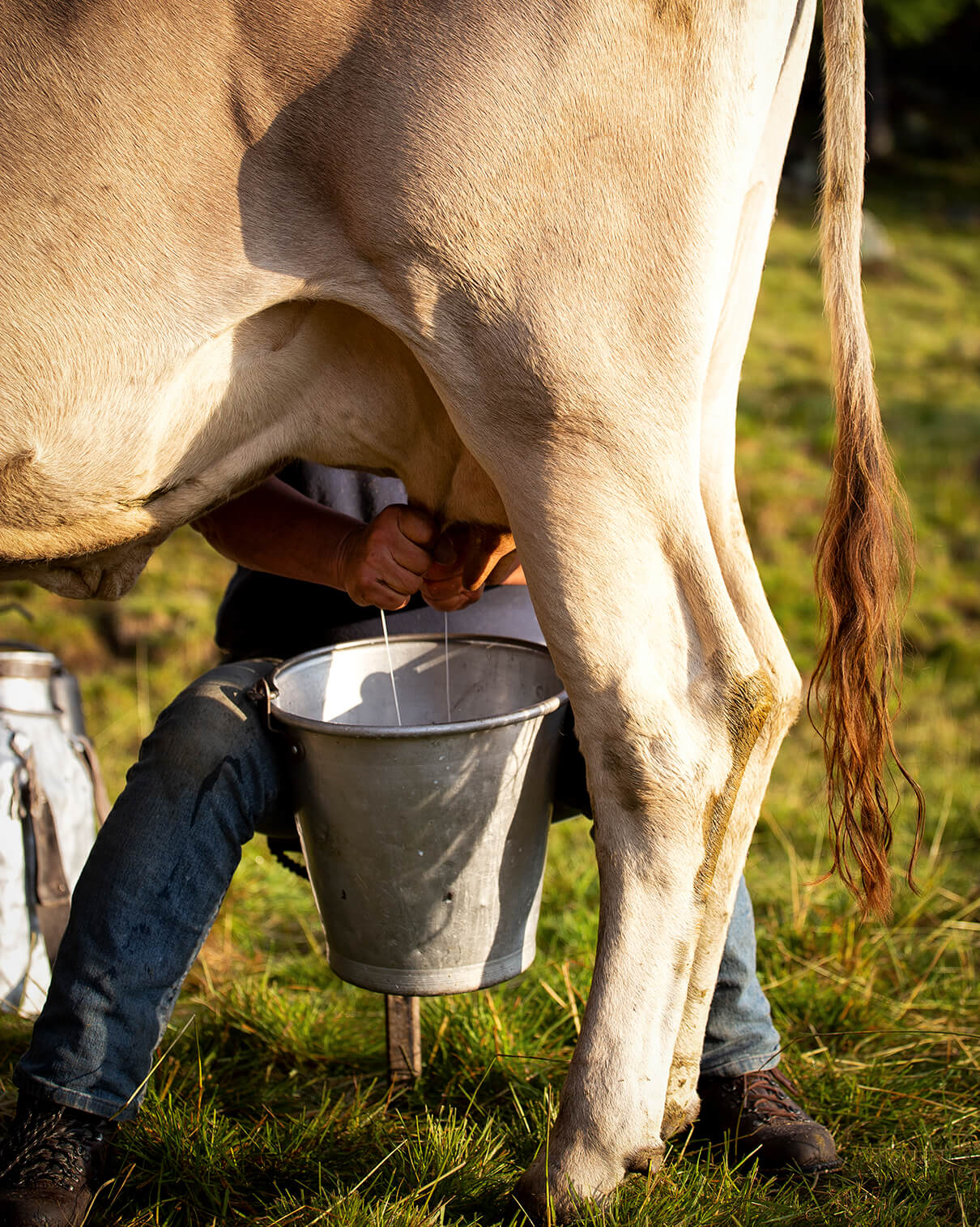CHEESEMAKING TECHNIQUE, AN INNOVATIVE LOMBARD SOUL.