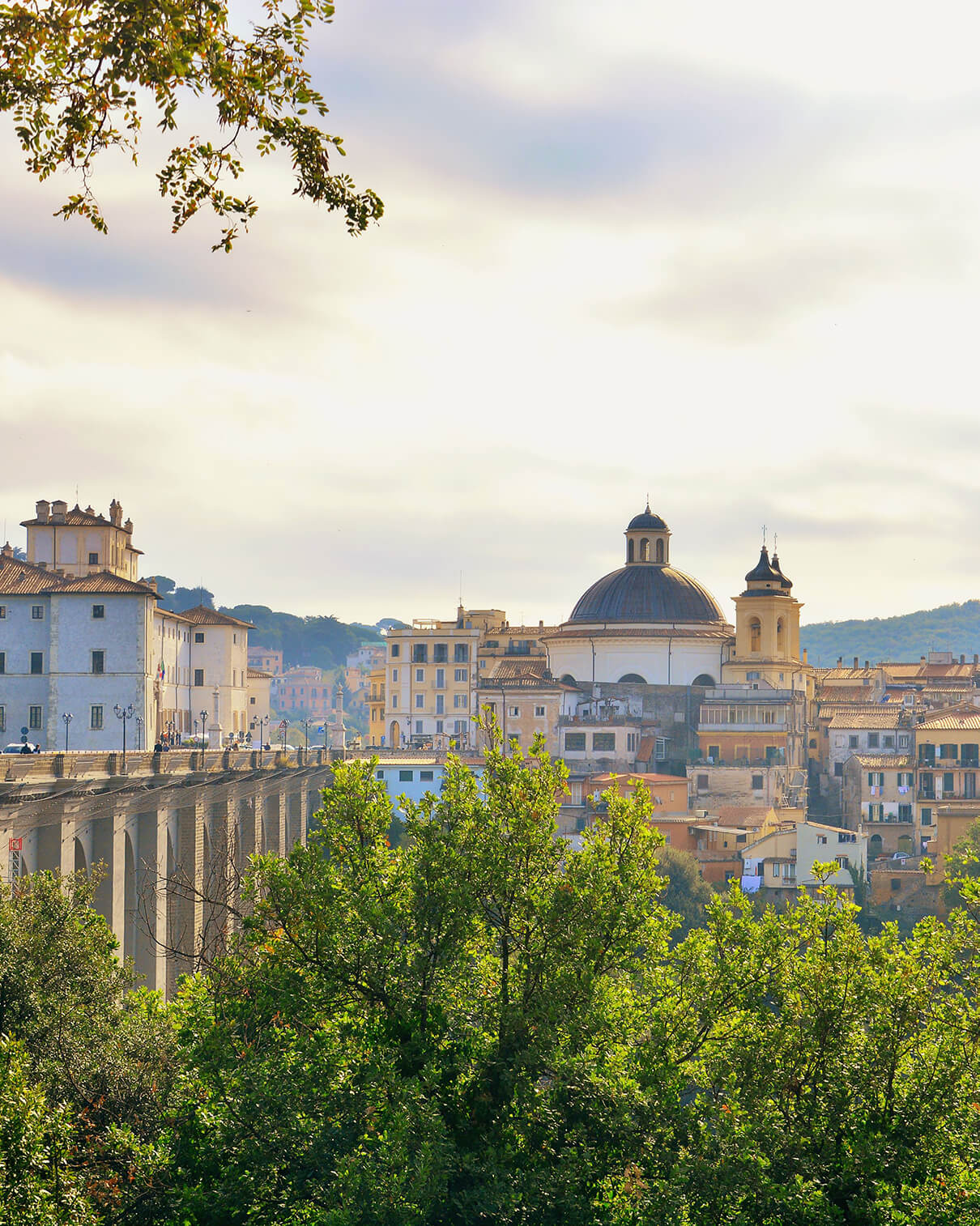 ARICCIA, CULLA LAZIALE DELLA TRADIZIONE PORCHETTARA.