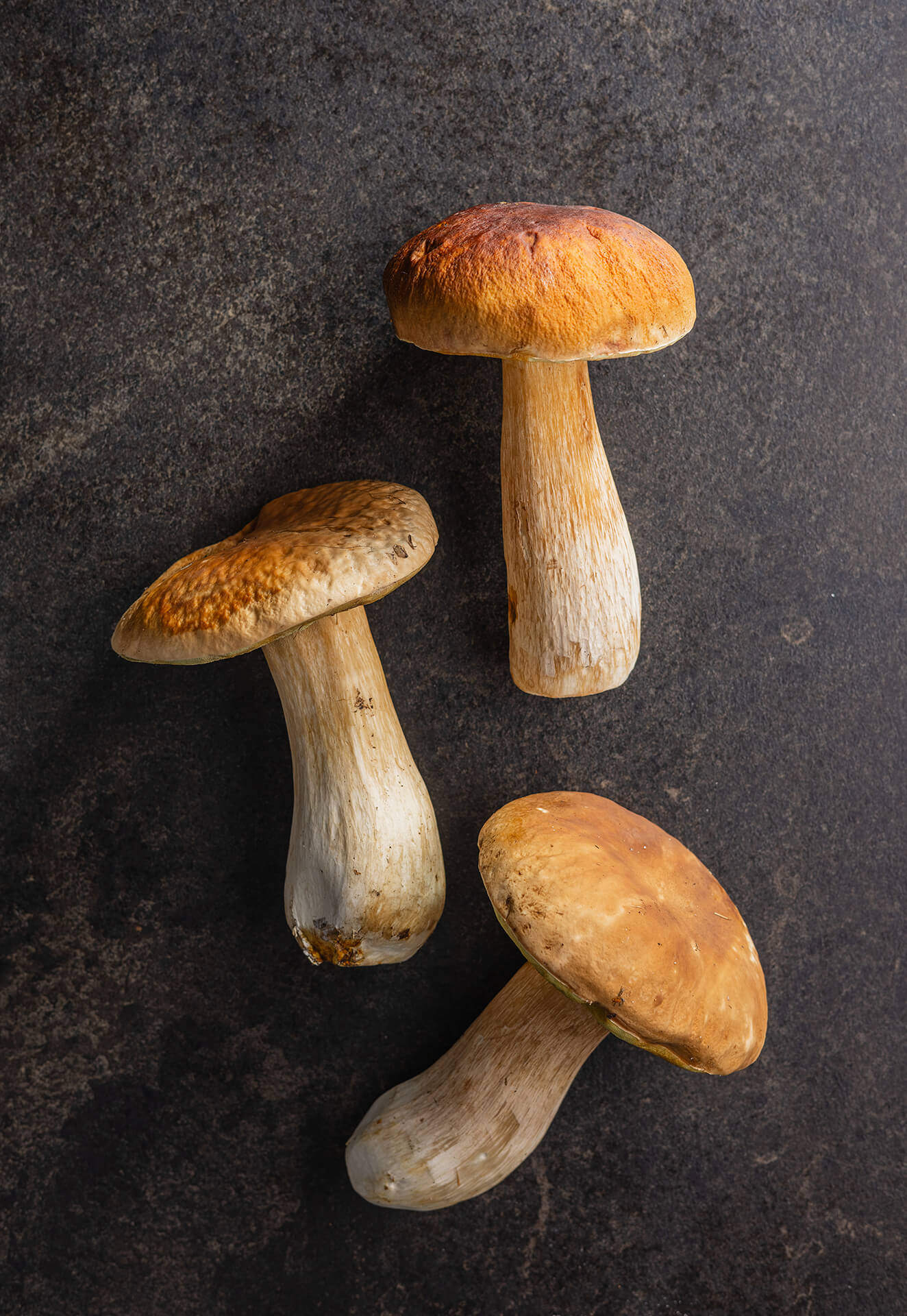 Porcini mushrooms in oil